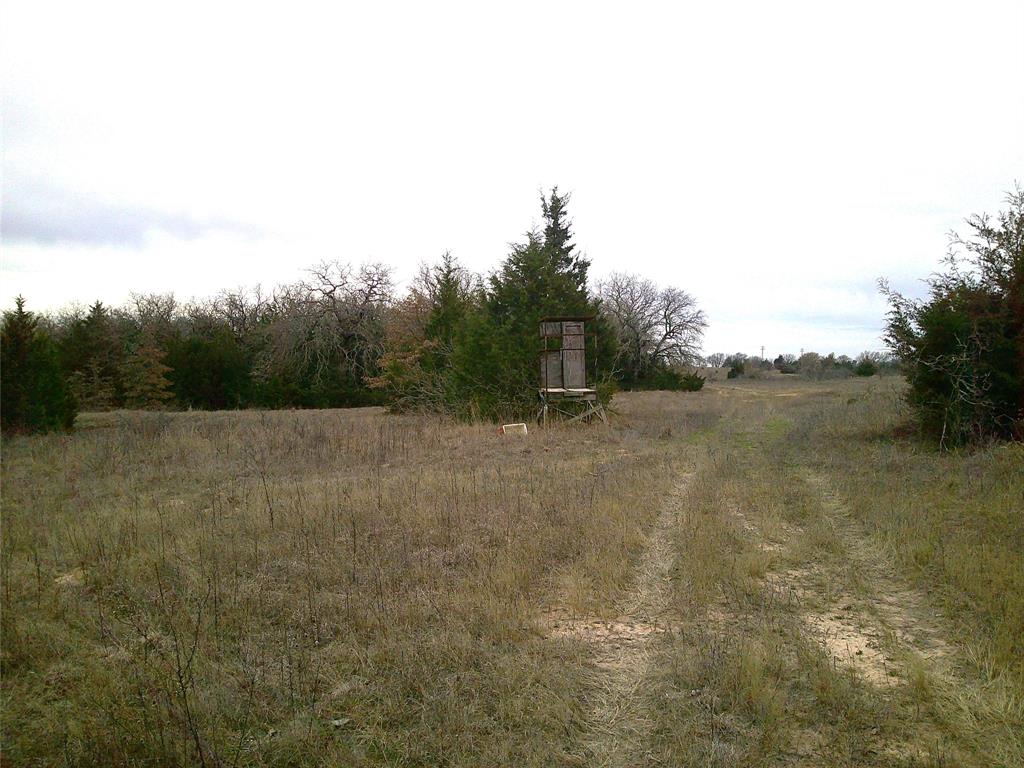 Tr 1 State Hwy 59 Property Photo 1