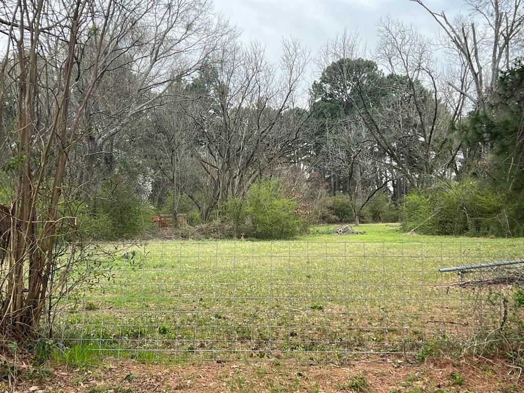 2301 Mccutchen Avenue Property Photo 2