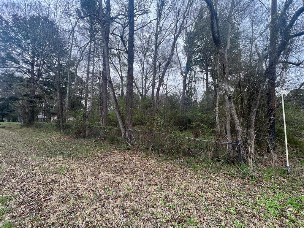 2301 Mccutchen Avenue Property Photo 3