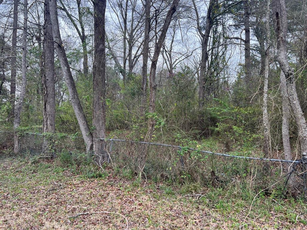 2301 Mccutchen Avenue Property Photo 4