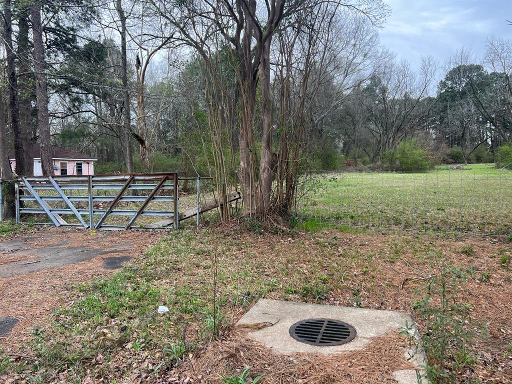 2301 Mccutchen Avenue Property Photo 6