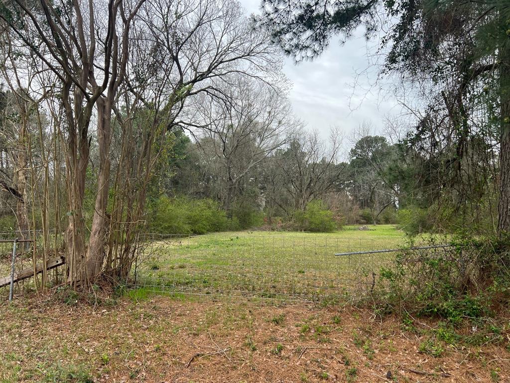 2301 Mccutchen Avenue Property Photo 7