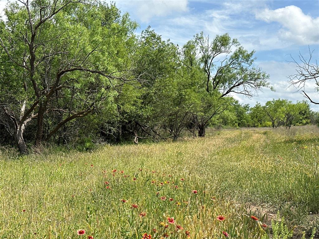 Tract 17 Cr 150 Property Photo 1
