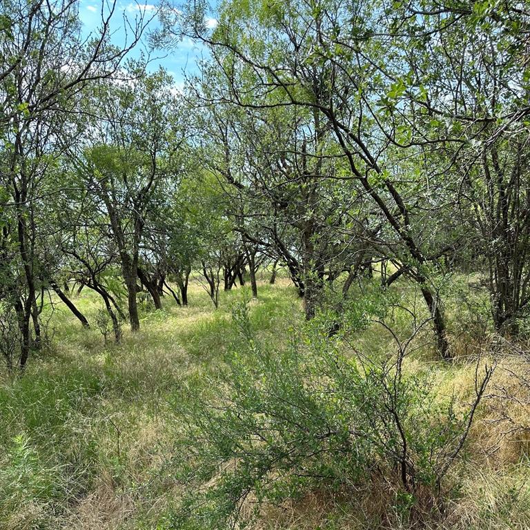 Tract 19 Cr 150 Property Photo 1