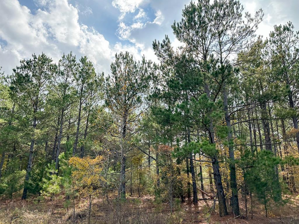 000 Cr 2115 Property Photo