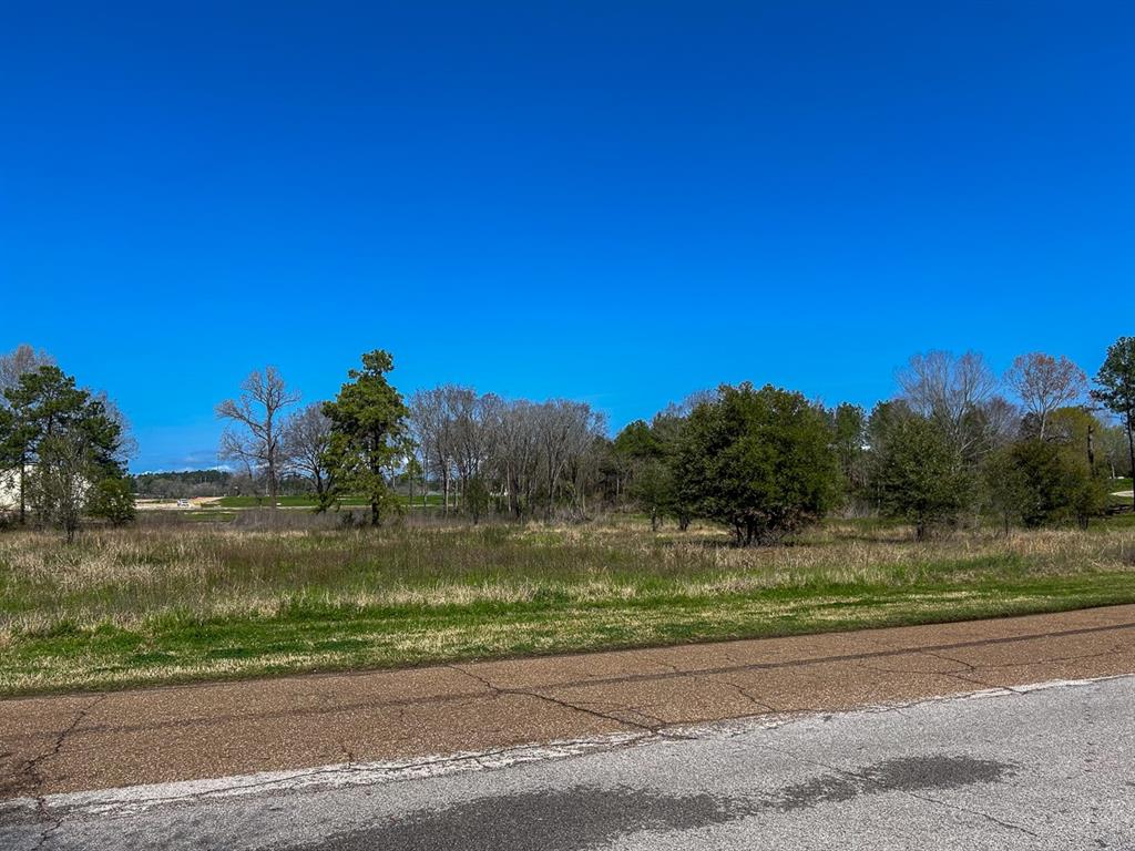 0 Kurth Drive Property Photo 11
