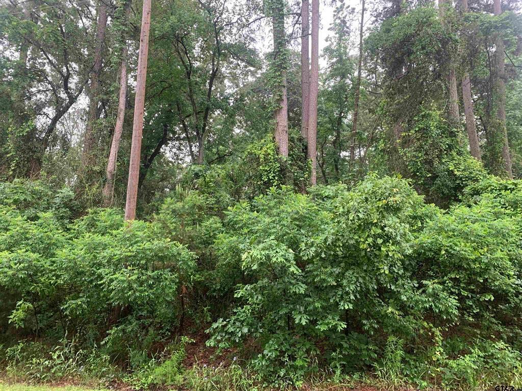 Tbd Canadian Drive Property Photo 1