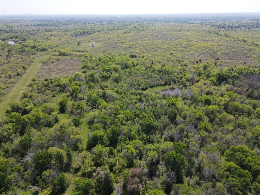 Tbd 149.71 Acres Se Cr 1240 Property Photo 7