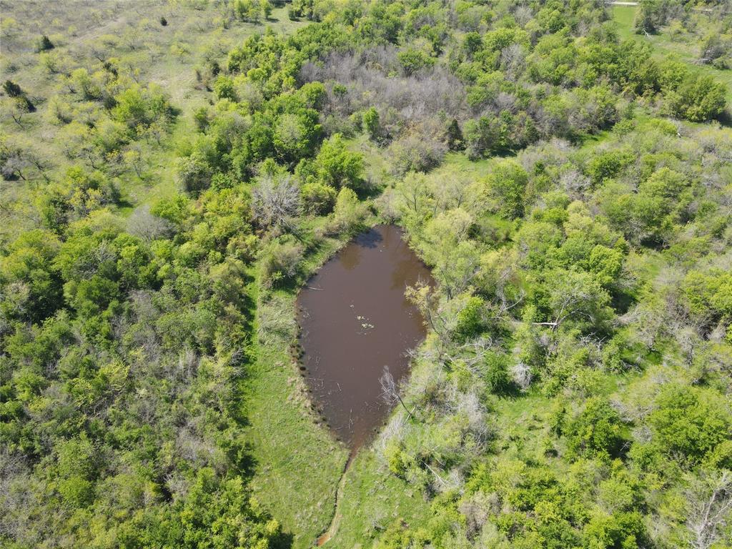 Tbd 149.71 Acres Se Cr 1240 Property Photo 8