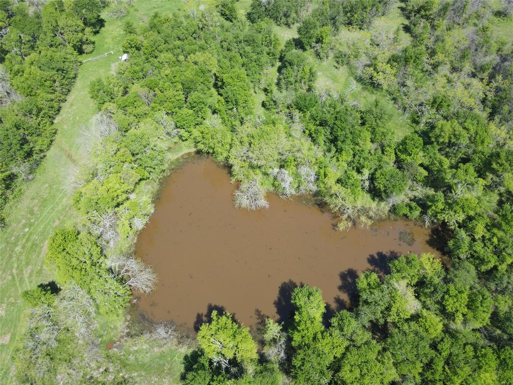 Tbd 149.71 Acres Se Cr 1240 Property Photo 11