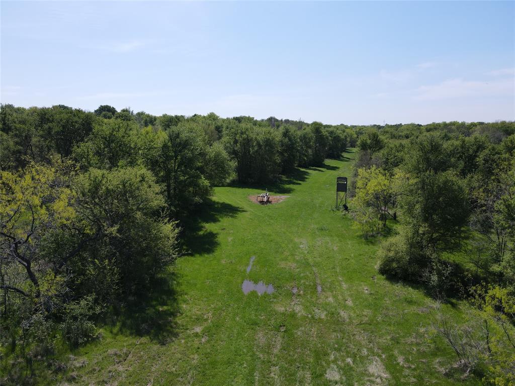 Tbd 149.71 Acres Se Cr 1240 Property Photo 13