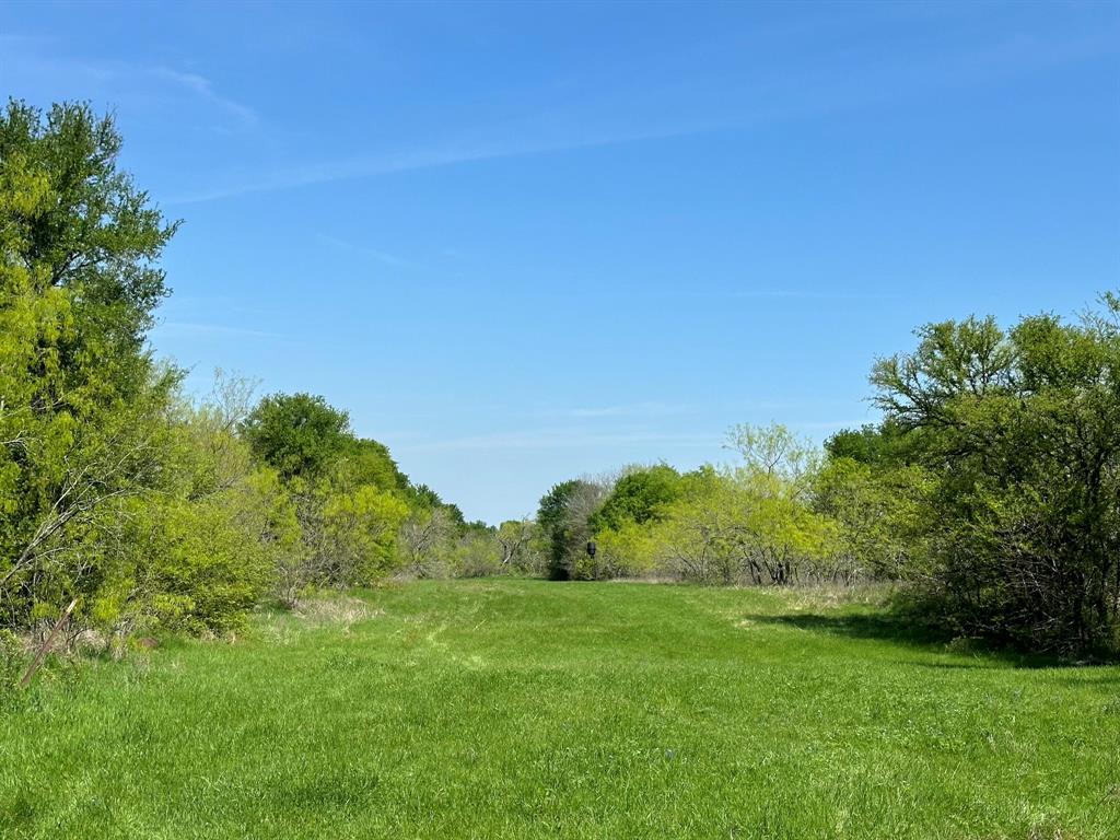 Tbd 149.71 Acres Se Cr 1240 Property Photo 21
