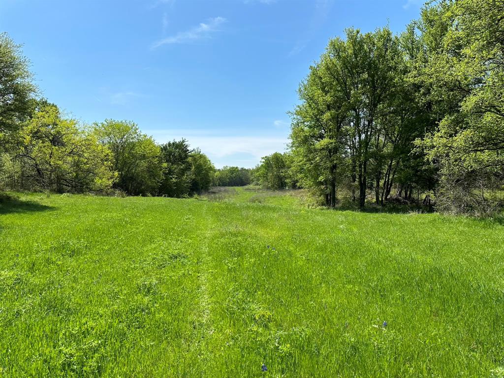 Tbd 149.71 Acres Se Cr 1240 Property Photo 22