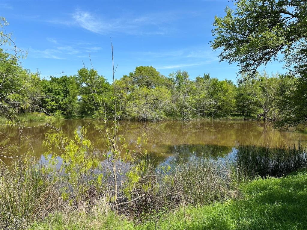 Tbd 149.71 Acres Se Cr 1240 Property Photo 25