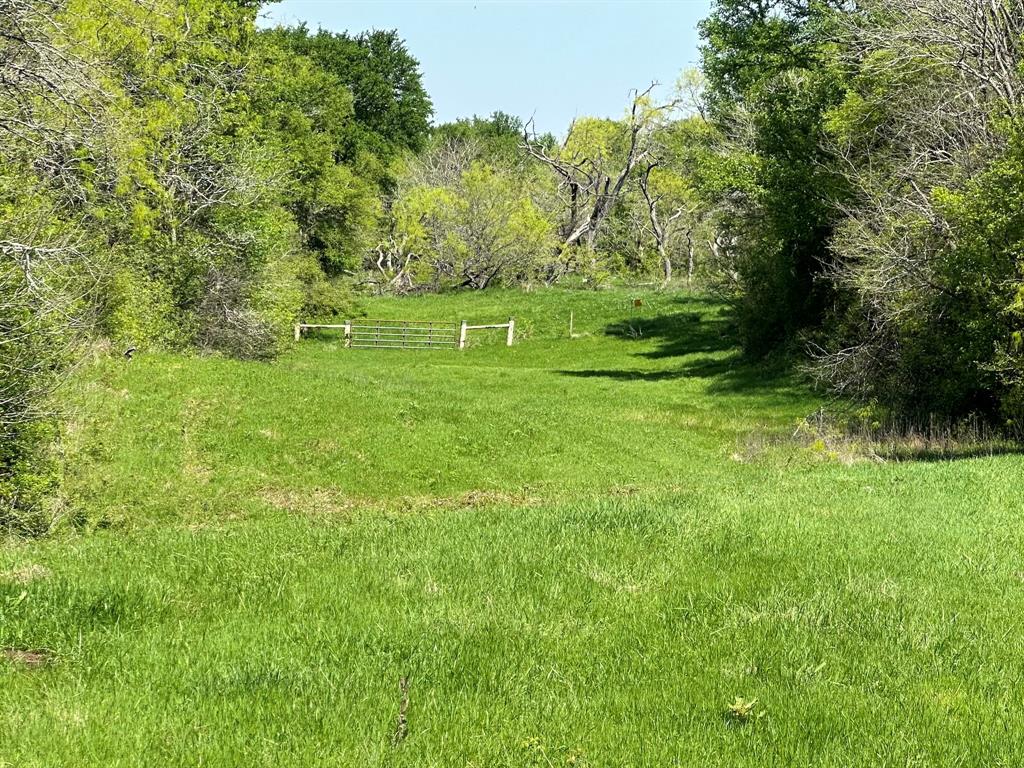 Tbd 149.71 Acres Se Cr 1240 Property Photo 26