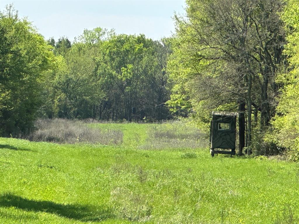Tbd 149.71 Acres Se Cr 1240 Property Photo 30