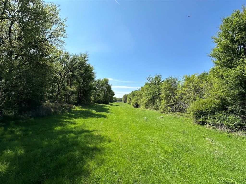 Tbd 149.71 Acres Se Cr 1240 Property Photo 31