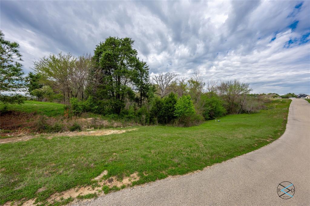 Lt 173 Lago Vista Drive Property Photo 6