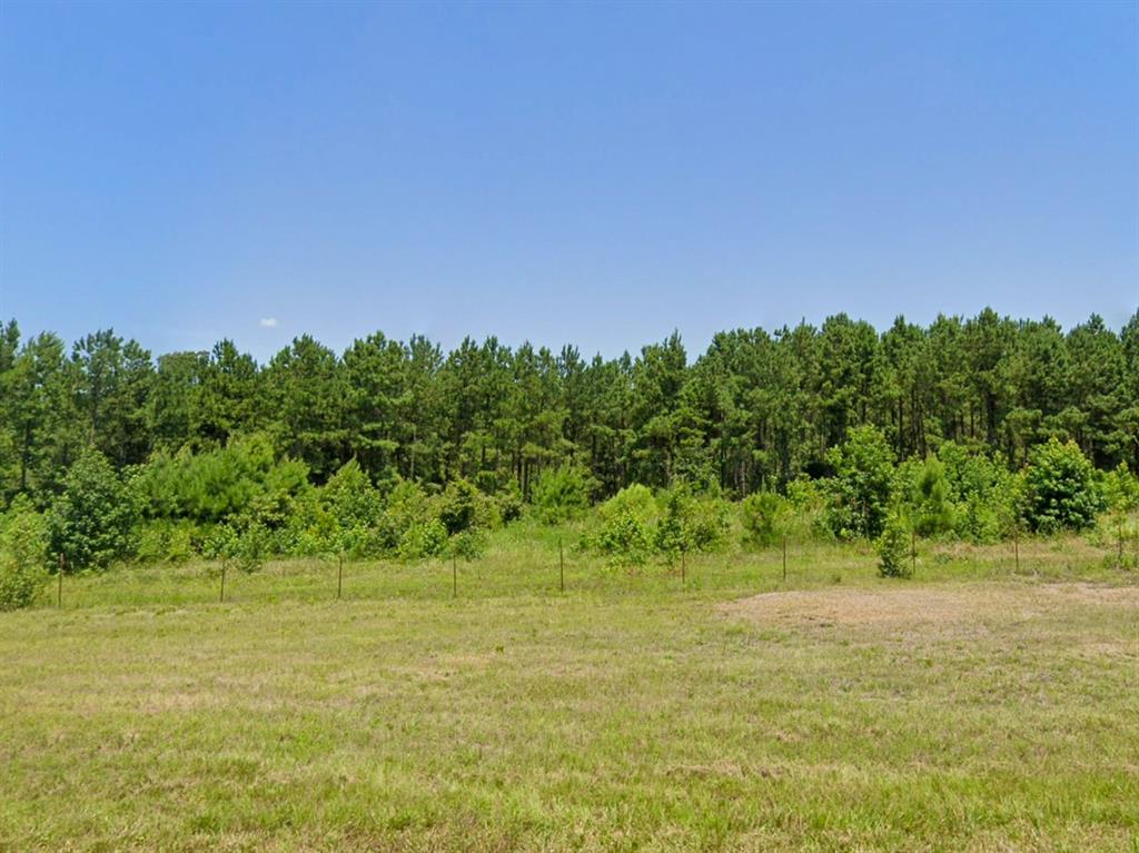 0 Hwy 155 Property Photo 6