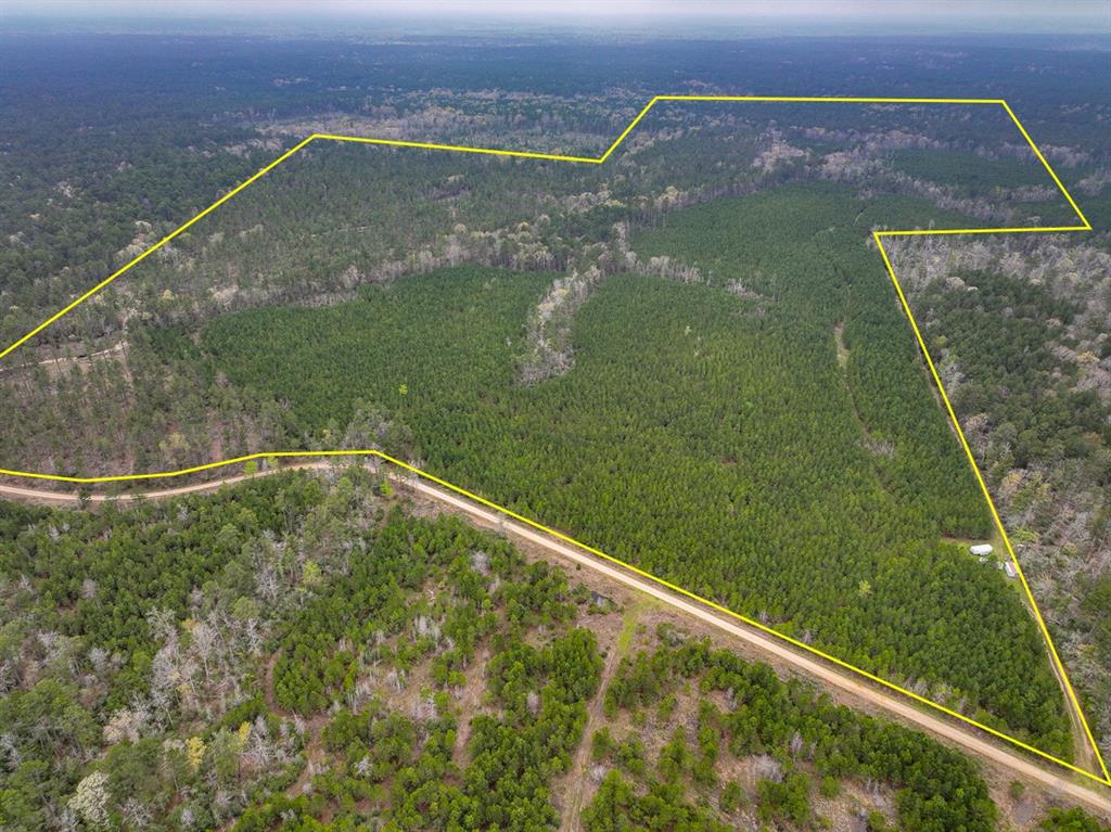 0 Forest Service Road 503 Property Photo