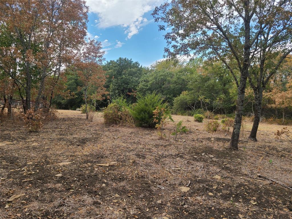 229a Southside Property Photo 1