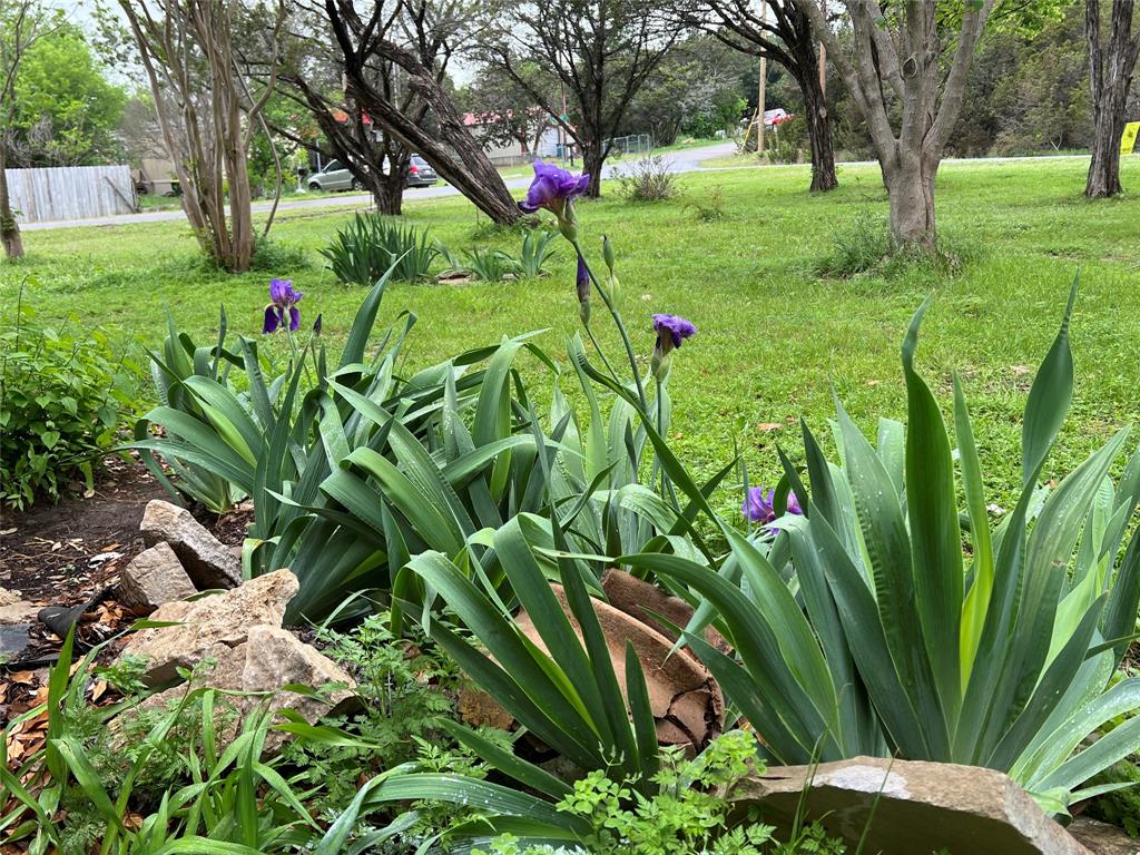 1203 Mountainside Drive Property Photo 12