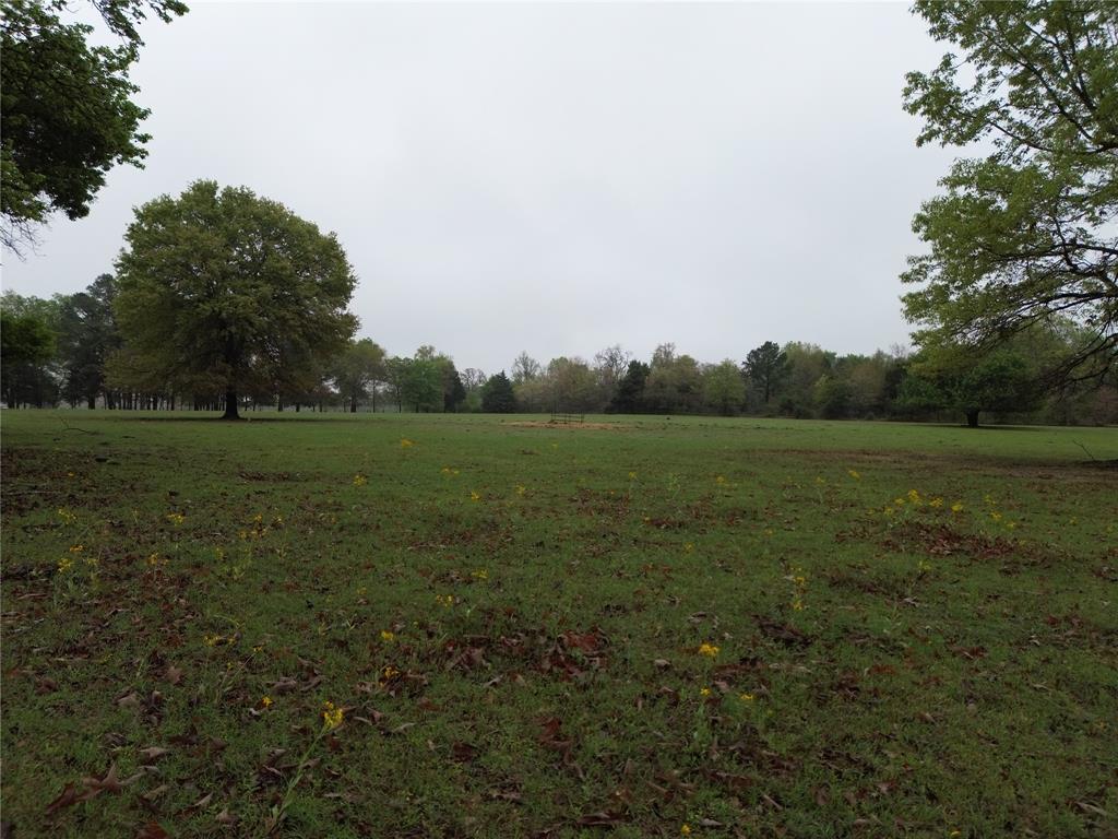 6523 County Road 4508 Property Photo 15