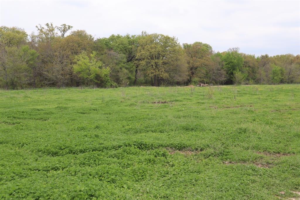 0 County Road 4764 Property Photo 1