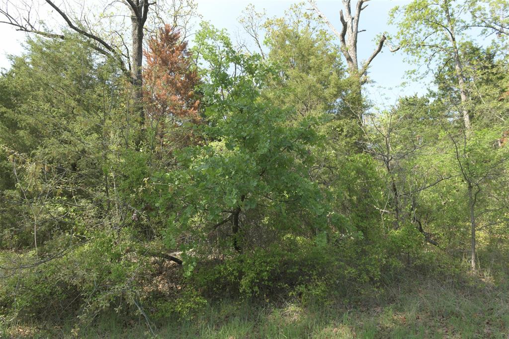 1366 Utopia Road Property Photo 18