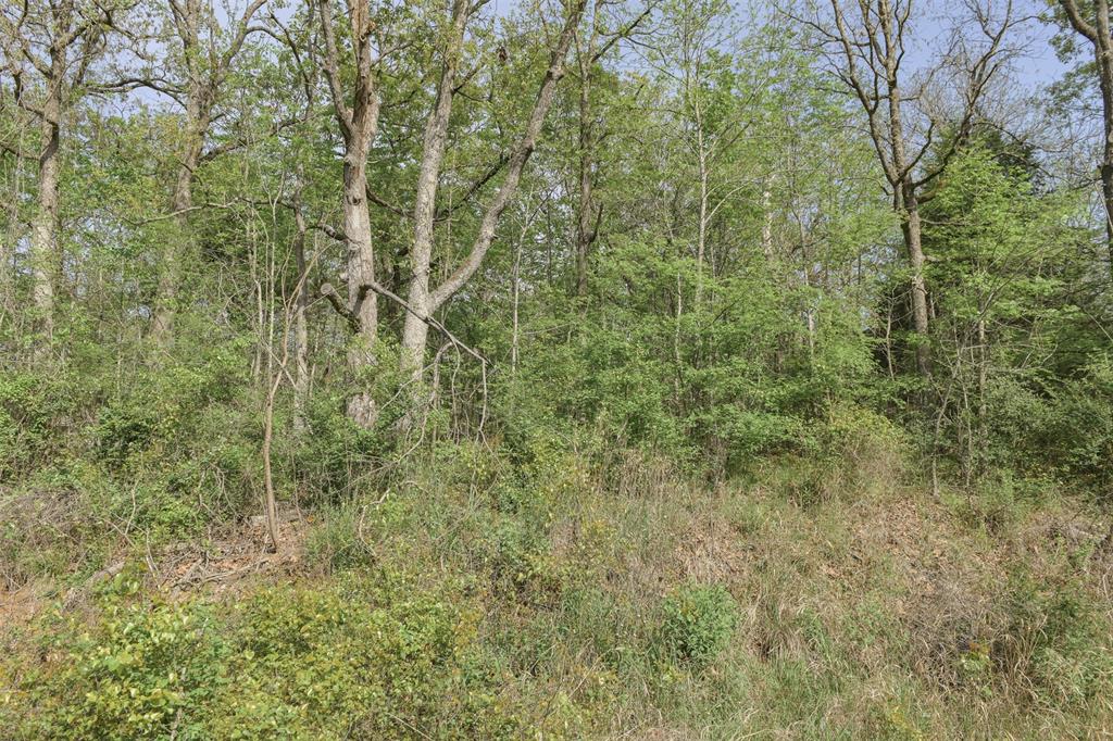 1366 Utopia Road Property Photo 25