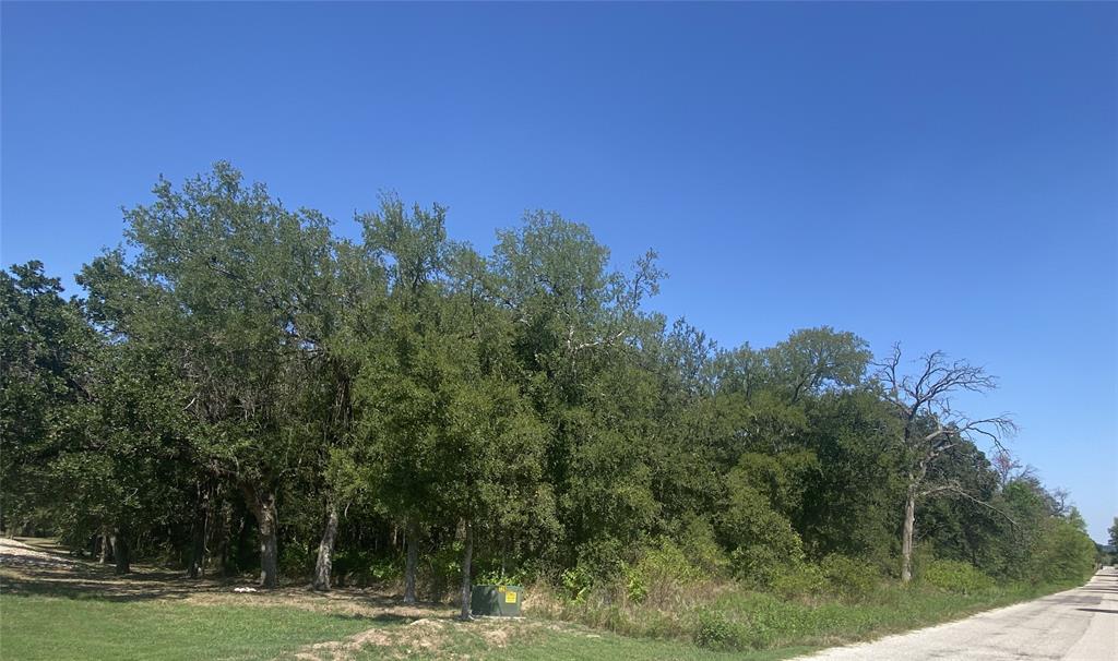 0000 Heritage Springs Drive Property Photo 8