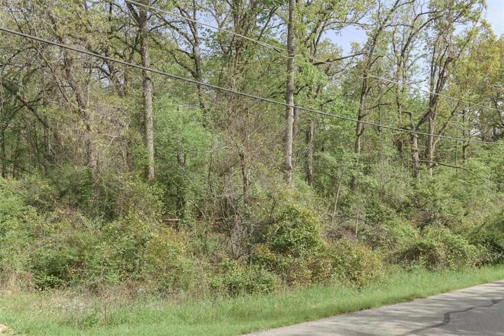 1364 Utopia Road Property Photo 17
