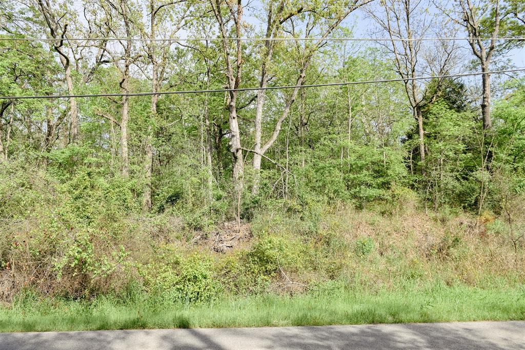 1364 Utopia Road Property Photo 22