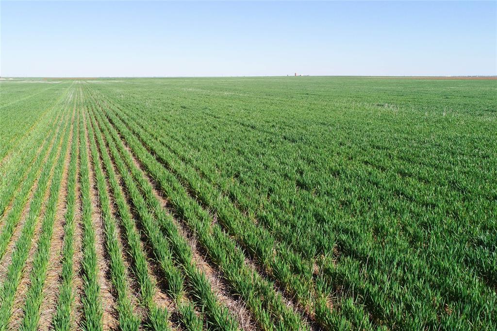 Tbd County Rd 81 Property Photo 1