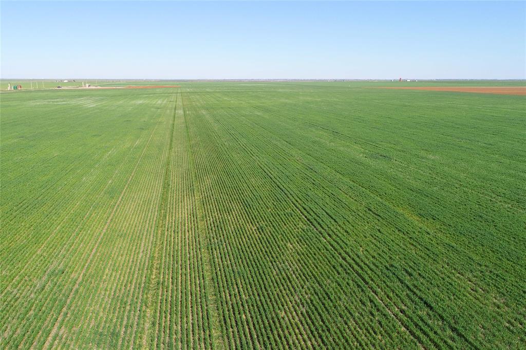 Tbd County Rd 81 Property Photo 1