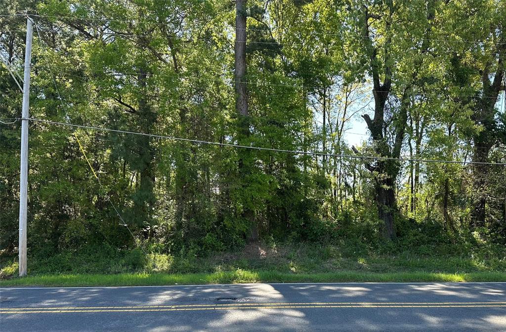 0 Buncombe Road Property Photo 1