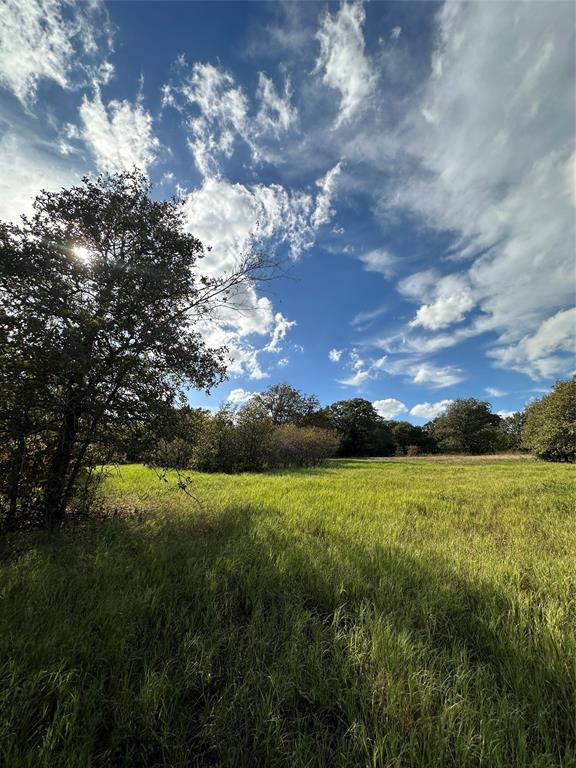 230 Blackjack Parkway Property Photo 1