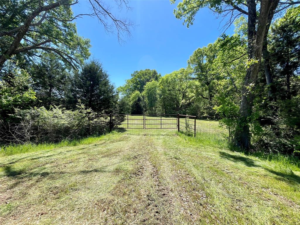 Tbd Hwy 80 Property Photo