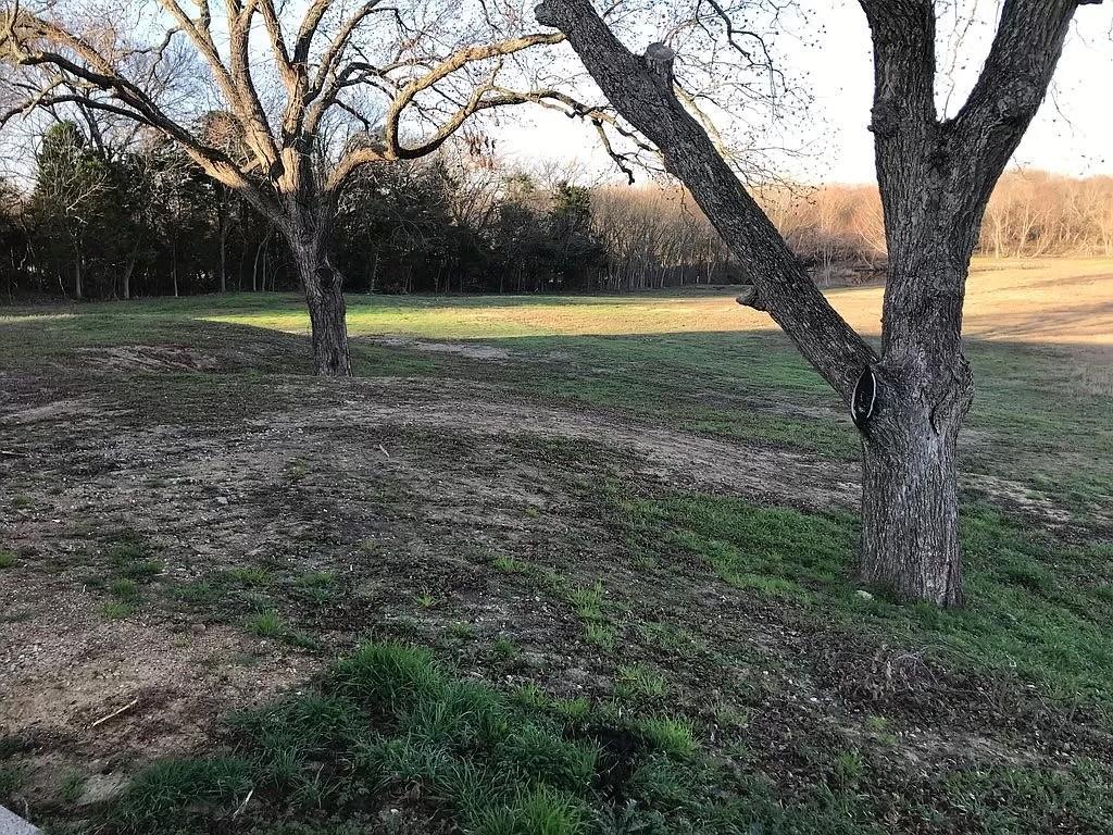 7101 County Road 1037 Property Photo 3