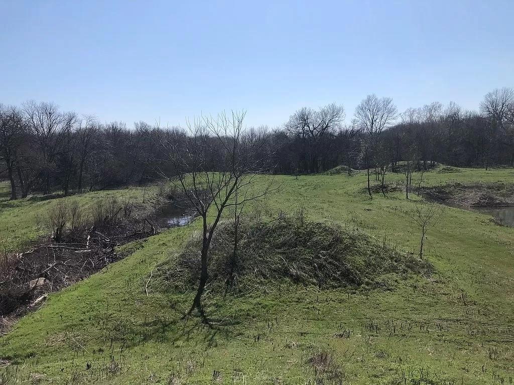 7101 County Road 1037 Property Photo 11