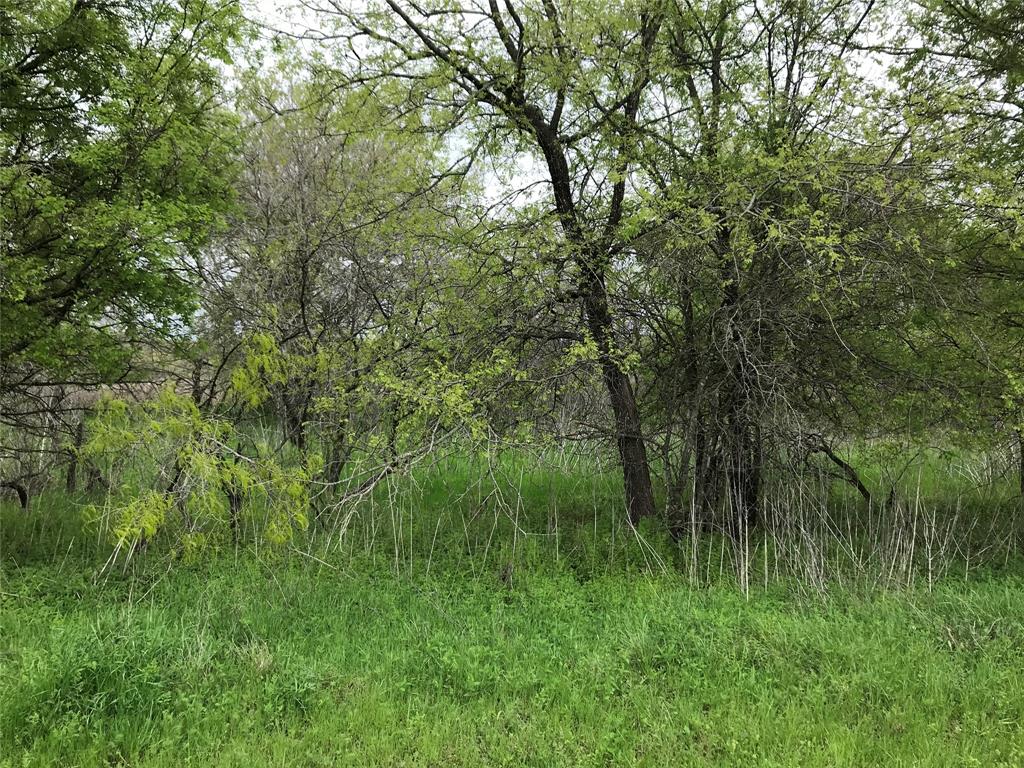 22177 Shady Grove Drive Property Photo 1