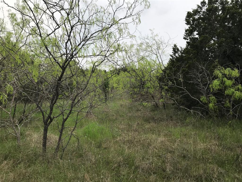 43174 Wisteria Drive Property Photo 3