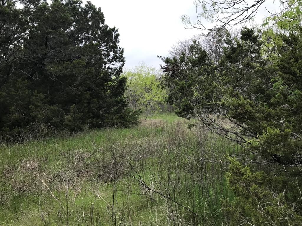 43174 Wisteria Drive Property Photo 4