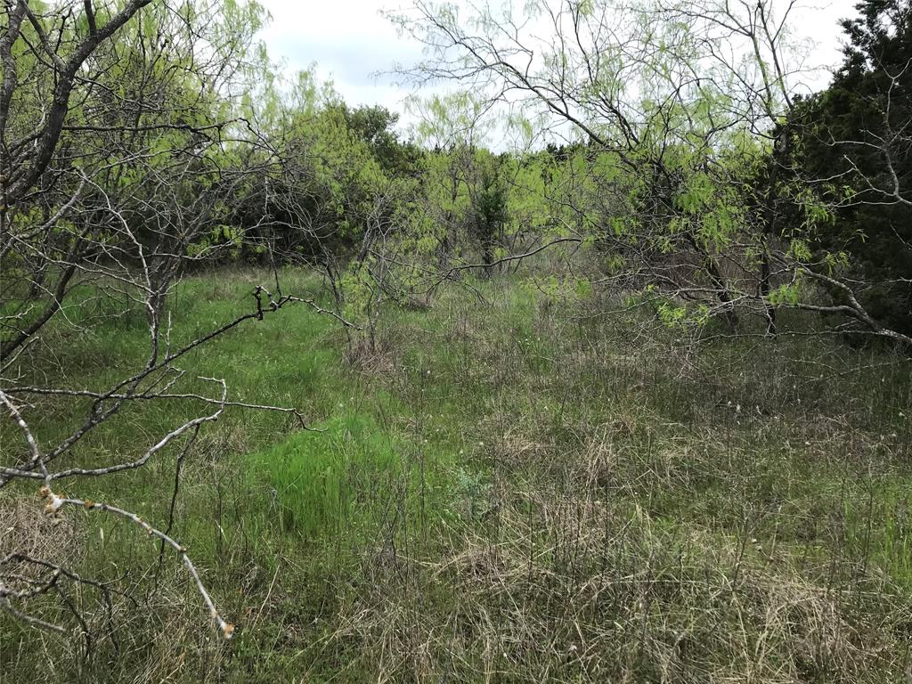 43174 Wisteria Drive Property Photo 6