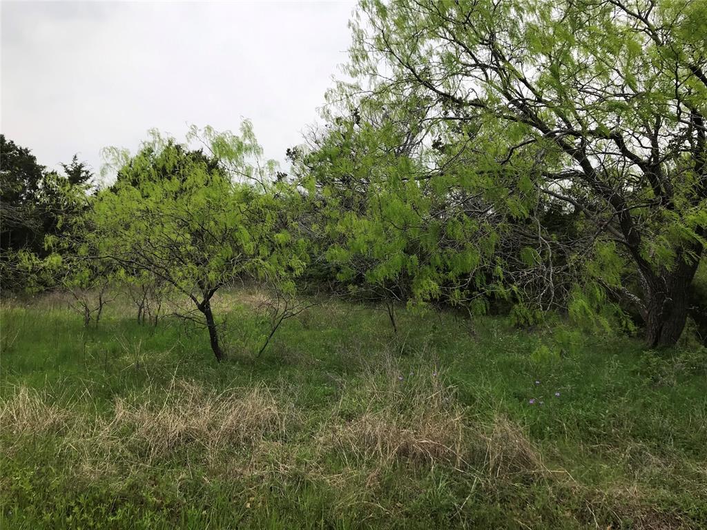 43174 Wisteria Drive Property Photo 9