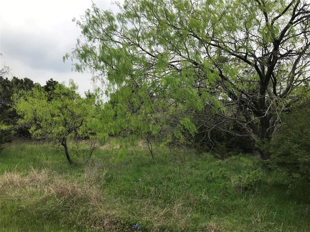 43174 Wisteria Drive Property Photo 10