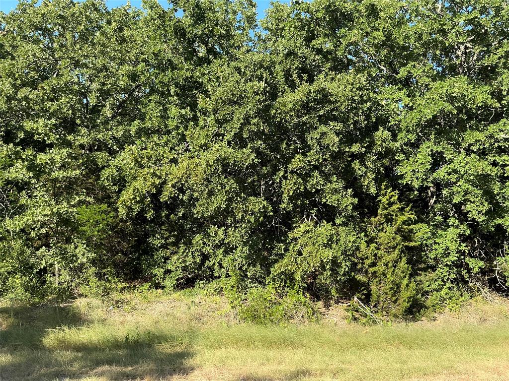 23090 Westmeadow Drive Property Photo 2