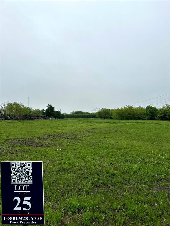 4028 Dove Street Property Photo 9