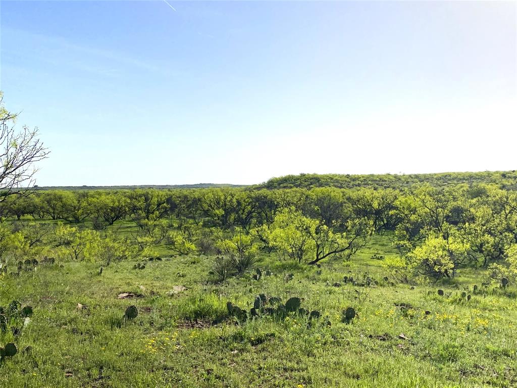 333 Acres County Road 414 Property Photo