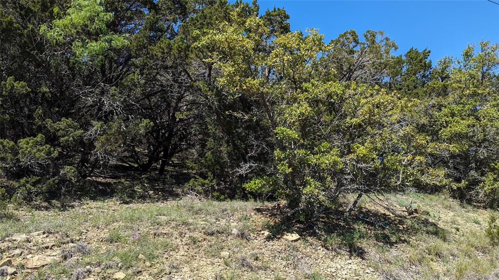 2723 Wind Point Court Property Photo 4